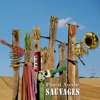 Pascal Ayerbe Berceuse Sauvages