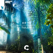 Tulum (Extended Mix) artwork