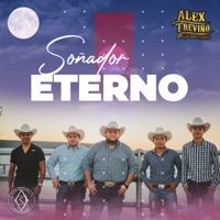 Soñador Eterno - Single - Alex Treviño y su Grupo Terrenal