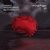 Brazilera (Paco Osuna & Fer BR Remix) cover art