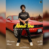 About You (feat. Jay Trak & Armaan) - Single - Arash Chahal