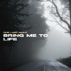 Bring Me To Life - Our Last Night