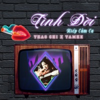 Tình Đời - Single - Nguyễn Thị Thảo Chi & Tamke
