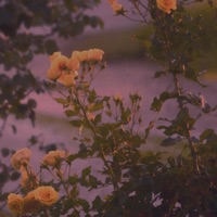 A Dream of Us - Single - SamTheDawn