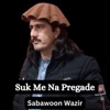 Suk Me Na Pregade - Single