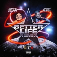Better Life (Remix) - Single - Brian Durst & Gordo Loco