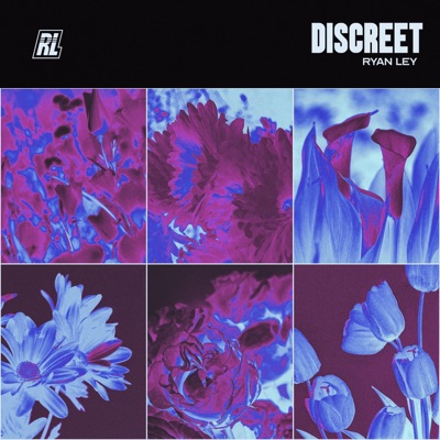 Discreet - Single