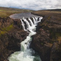 Capri - Single - Krysenstern