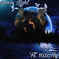 Lovely Night (feat. 1050Taj) - Single - Rellzooted