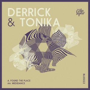 Found the Place / Medidance - Single