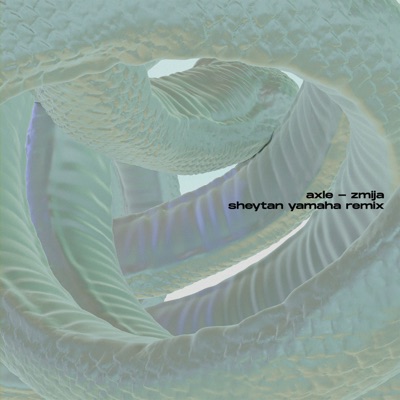 zmija (Sheytan Yamaha Remix) - Single