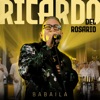 Babaila (En Vivo) - EP