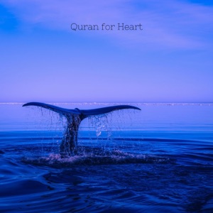 ‏دعاء يونس - Single