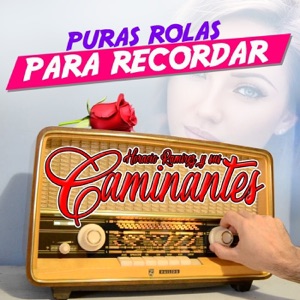 Puras Rolas Para Recordar (Grupero)