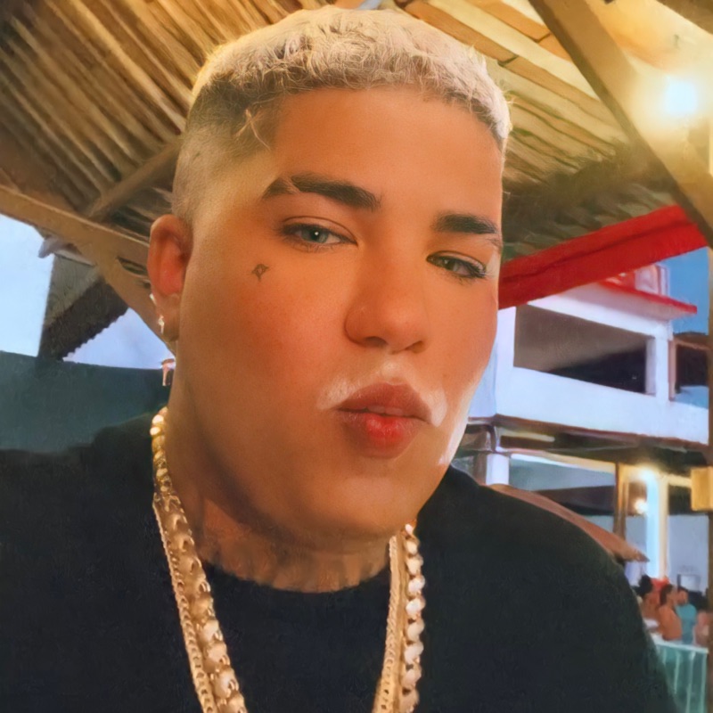 MC Reizin, Anderson Neiff, Danilo Chatinho & MC THAY RJ - Noite das Safadas