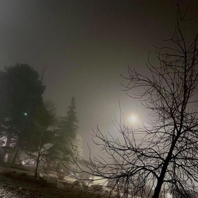 Complicated - Single