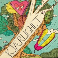 Kjærlighet (Radio Version) - Single - Stig Van Eijk