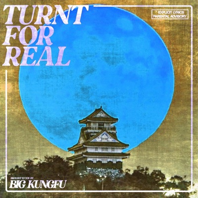 Turnt For Real Pt. 2 - Single