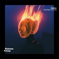 Fire (Pete K Remix) - Single - Walden