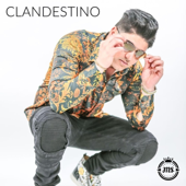 Clandestino song art