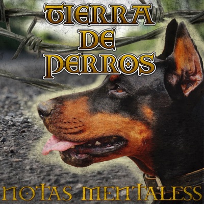 Tierra de perros - Single