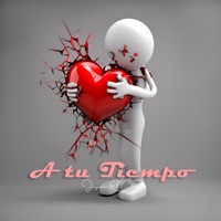 A Tu Tiempo - Single - Joymi LCS