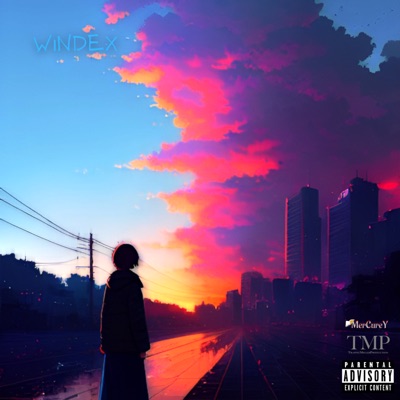Windex - Single