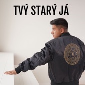 Tvý Starý Já artwork