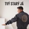 Tvý Starý Já artwork