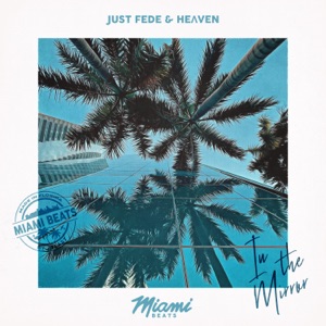 In the Mirror (feat. Darren Fewins) - Single