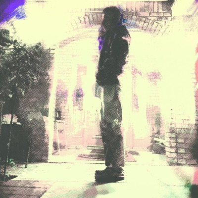 no show (feat. Talinwya) - Single