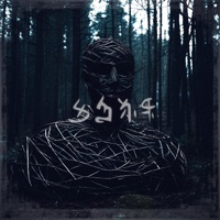 Album cover for Anri by Traverse The Endless