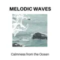Lovely Ocean Nights