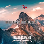Norge i rødt hvitt, og blått artwork