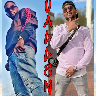 Vallen (feat. DiggaMasta & THK Beats) - Single
