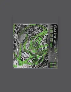 Hör dir BLACK VE$PID an, schau dir Musikvideos an, lies die Biografie, finde Tourdaten und mehr!