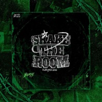 Shake The Room 2022 - Single - nexxbeats & Lille4