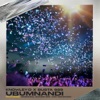 Ubumnandi (feat. Mashudu, Nation-365 & Msamaria) cover art