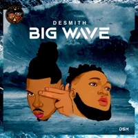 BIG WAVE - Single - Desmith