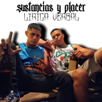 SUSTANCIAS Y PLACER - Single - lirica verbal