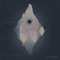 Kobalt - Electric Monk lyrics