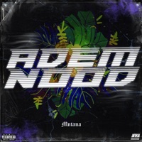Ademnood - Single - MNTANA