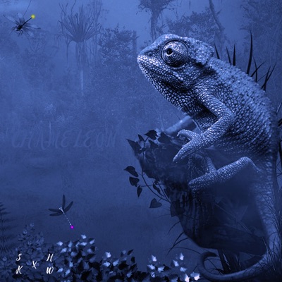 Chameleon - Single