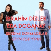 Derdimi Sormadılar (Gitmeseydin) artwork