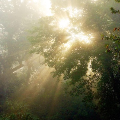 a angel came down from heaven and told me about you - Single