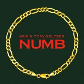 Numb artwork