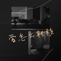 爱怎么转移 (Live版) - Single - 山止川行 & 莊淇文29