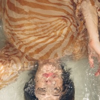 Swimming Bell Ablum Cover