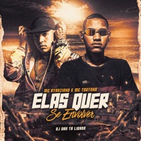 Elas Quer Se Envolver - Single - MC Ryanzinho, MC Todynho & DJ Dan Tá Ligado