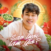 Sao Trời Làm Gió Remix artwork